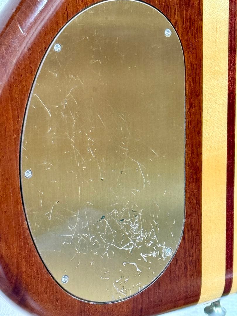 【希少】ALEMBIC DISTILLATE 2PU BASS 1983
