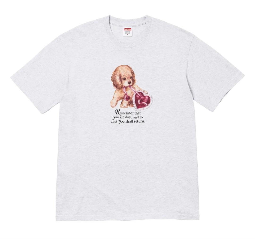 トップス supreme Dust TeeAsh Grey/Large