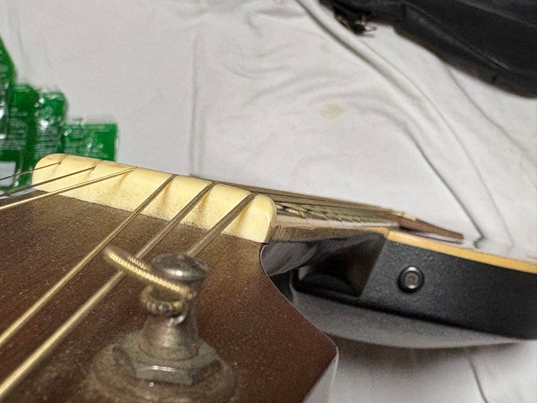 Pro Martin エレアコ　ソフトケース　他付属品付き 1920-01-1