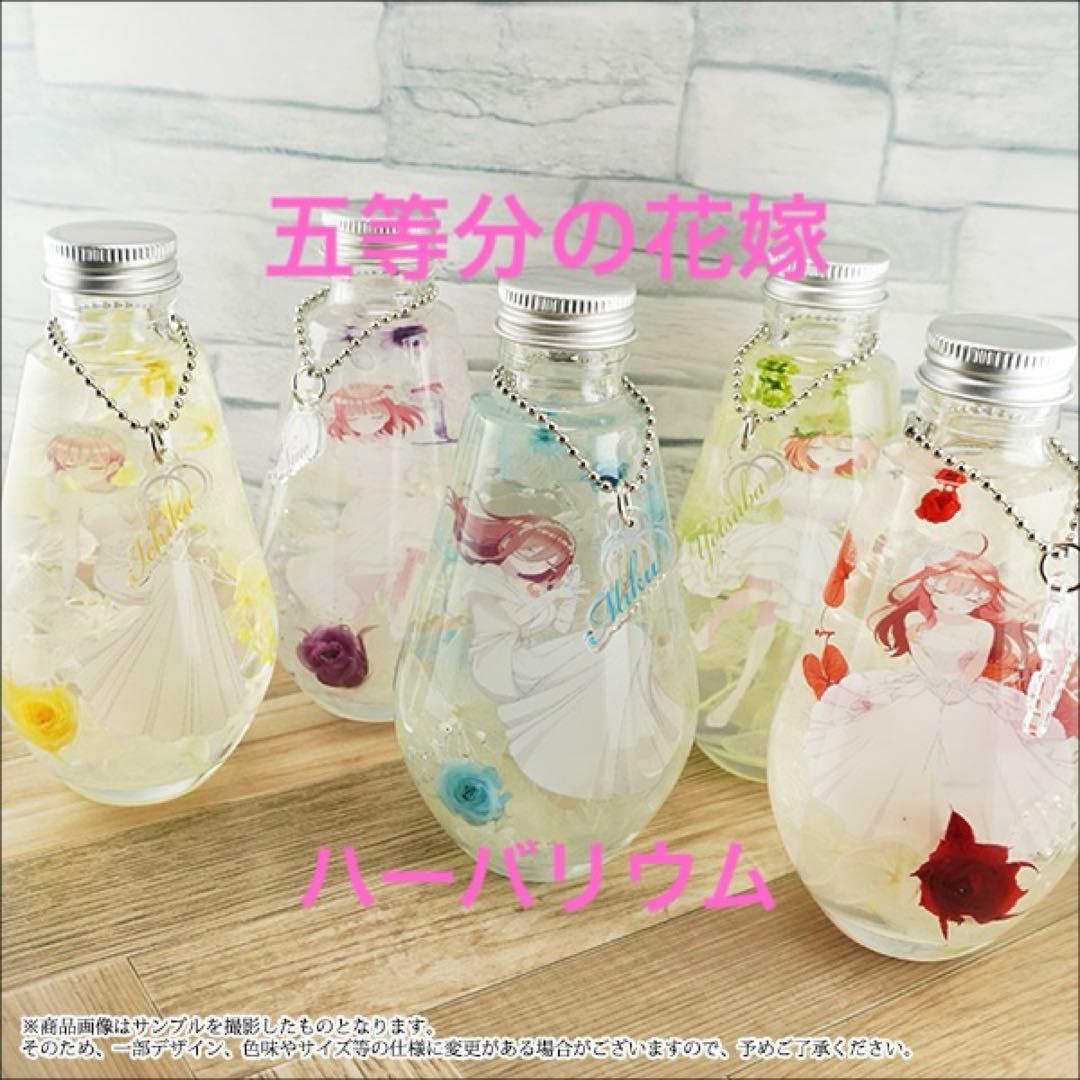 五等分の花嫁　ハーバリウム　エテルノレシ
