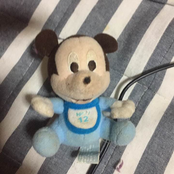 ドブネズミ