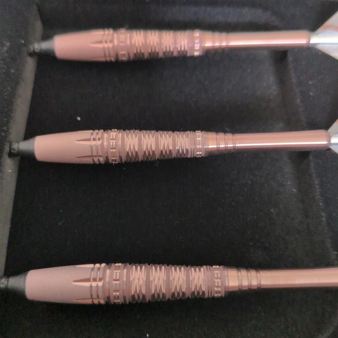 ジャパン コンストラクターズ チャンピオン 2019 パイロ 星野光正モデル