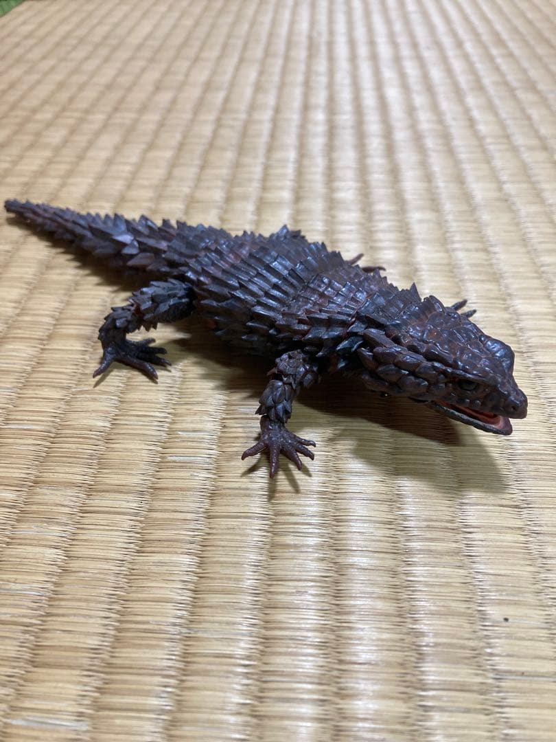 いきもの大図鑑　アルマジロトカゲ コンプリート　4種