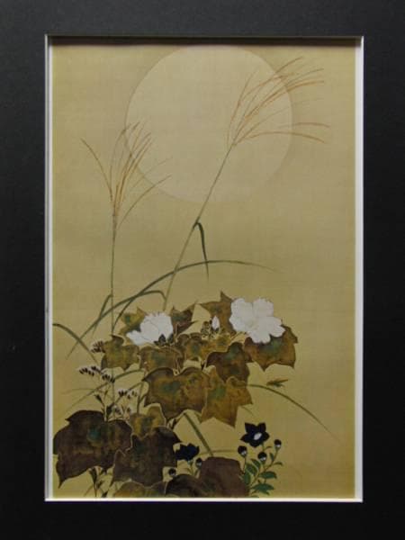 酒井抱一、秋月白芙蓉桔梗図、超希少・大判画集画、新品額装付