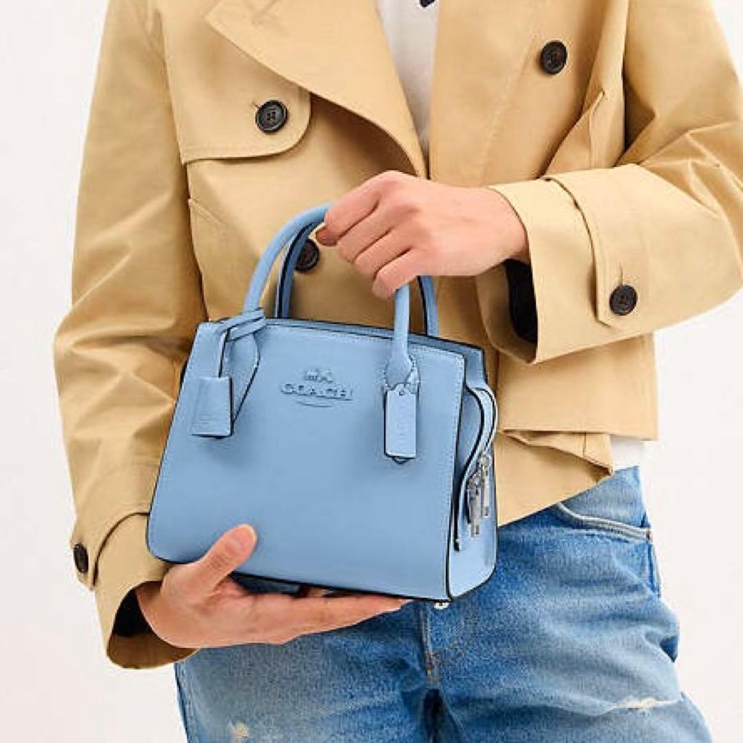 ✨未使用品✨コーチ アンドレア キャリーオール 2way ショルダーバッグ