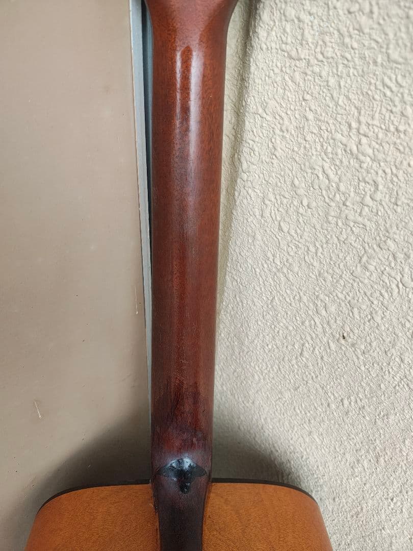 Simon & Patrick / S&P 6 Cedar トップ 単板