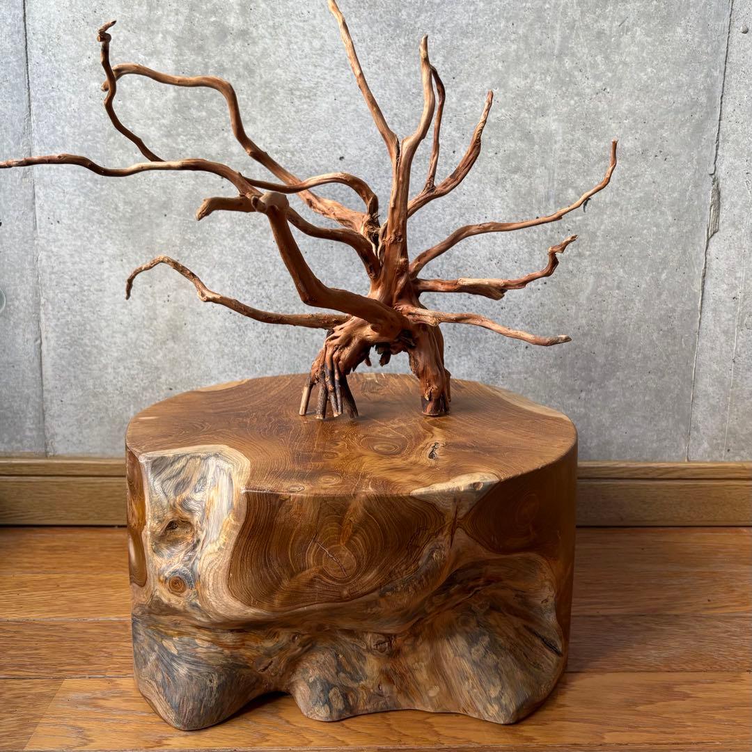 ssさん専用円柱 ロースツール ローテーブル2