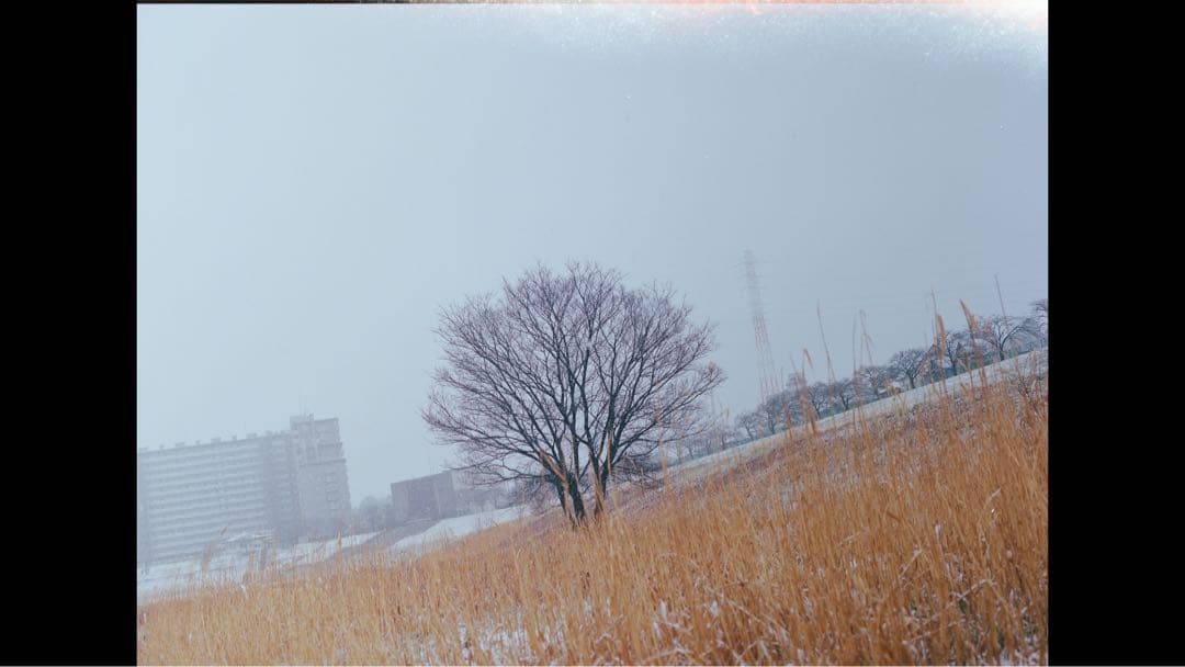 mamiya645 Super 作例あり