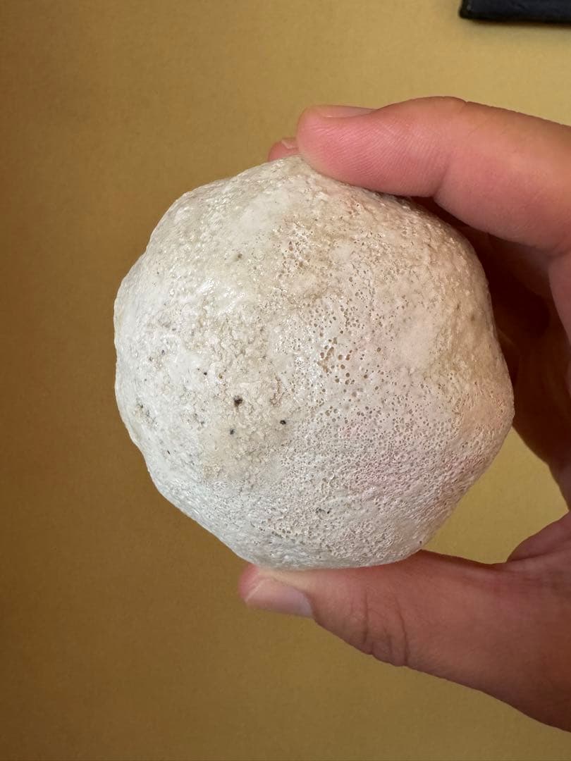 馬川祐輔　ふたもの　現代作家