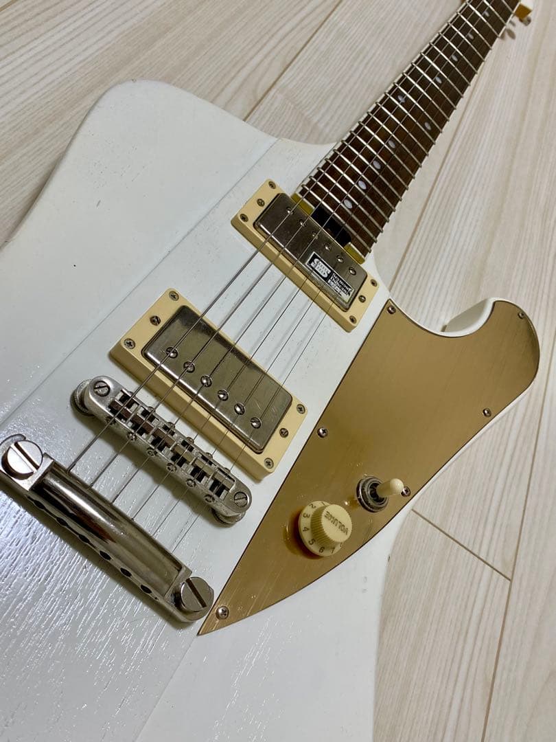 ESP edwards cygnus LEDAモデル　シグナス
