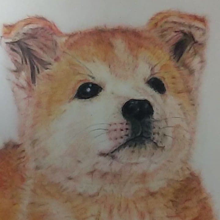 B4サイズ 色鉛筆画（ハチ公物語）