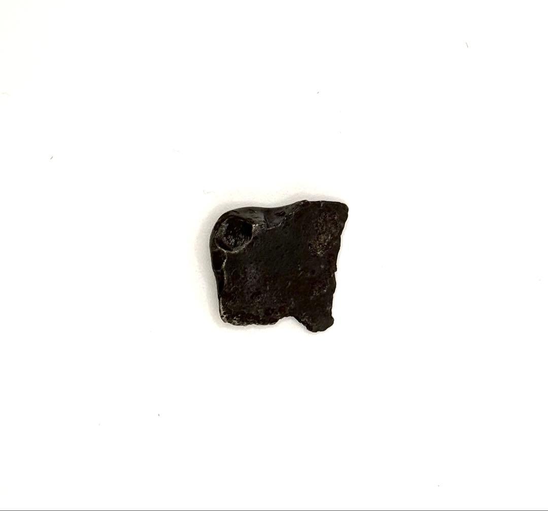 シホテアリニ隕石　12.2g