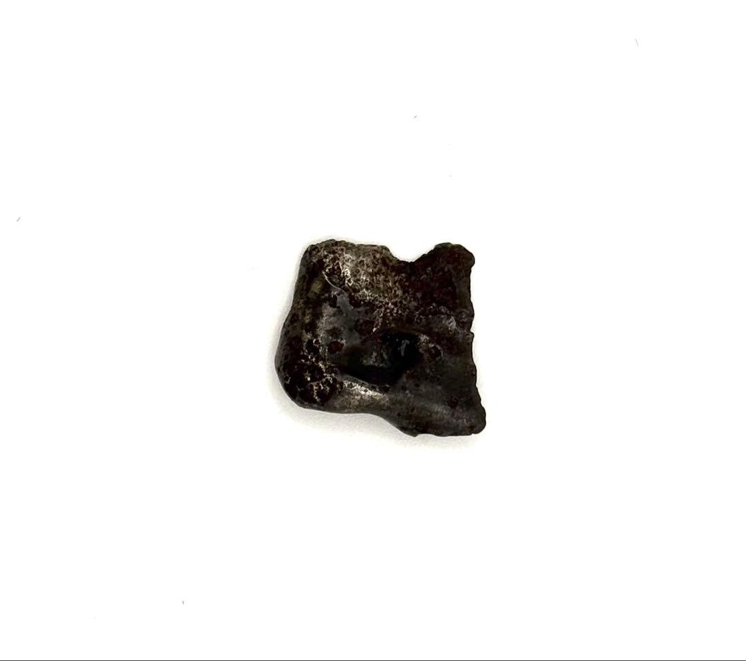 シホテアリニ隕石　12.2g