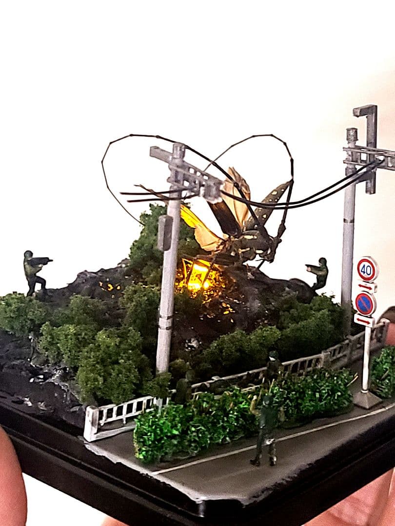 カミキリムシ　立体標本