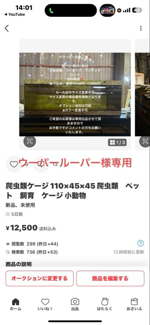 ウーパールーパー　1104545セール品