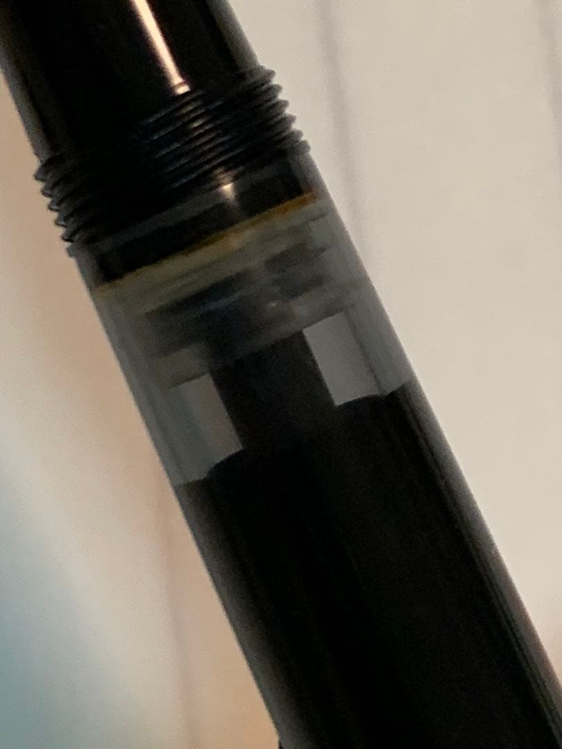 希少品 Pelikan（ペリカン）M250 万年筆 12C-HEF