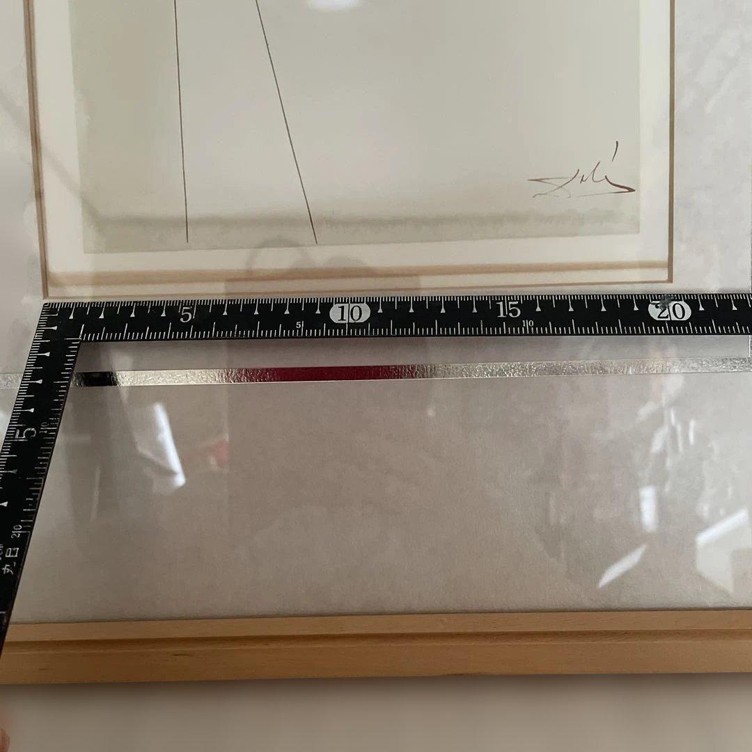 サルバドール・ダリ☆Salvador DALI リトグラフ「神曲」☆保証書付