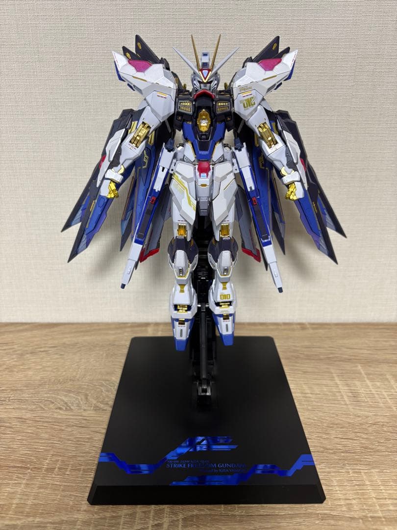 【即購入可・匿名配送】メタルビルド ストライクフリーダムガンダム2024