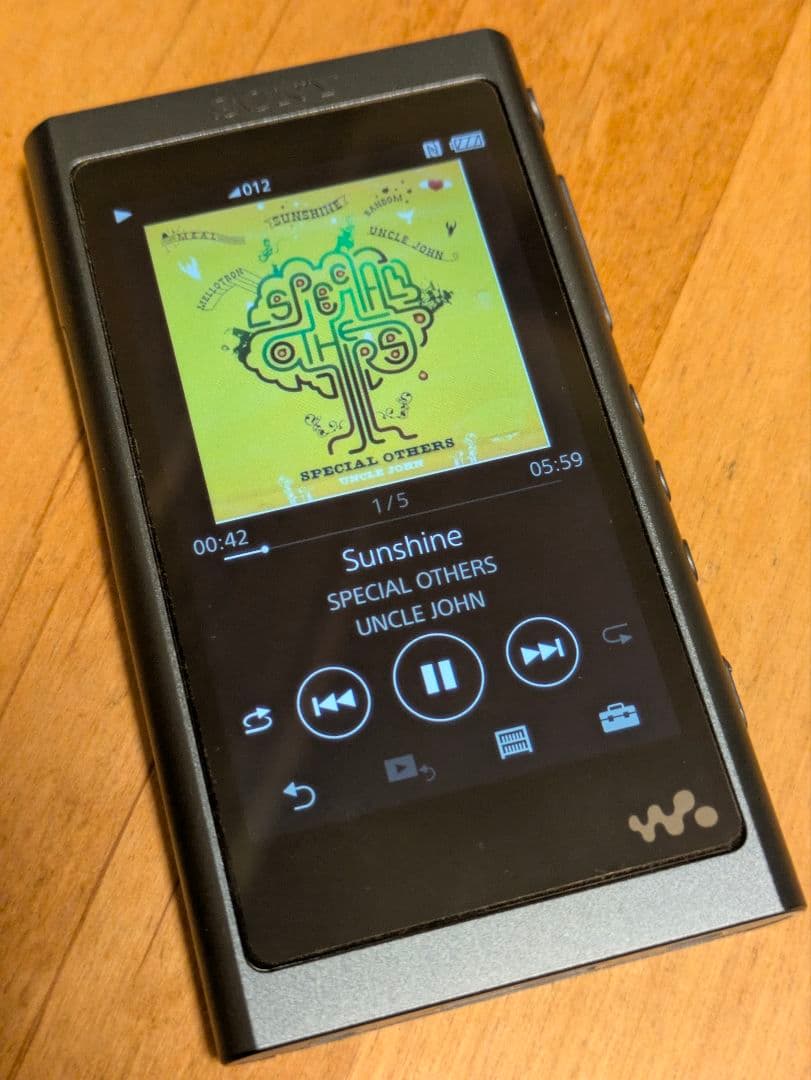 SONY ／WALKMAN Aシリーズ NW-A55 64GマイクロSD付