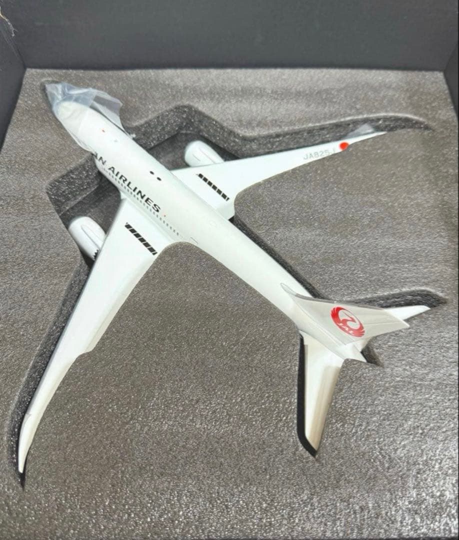 JAL B787-8型機　飛行機