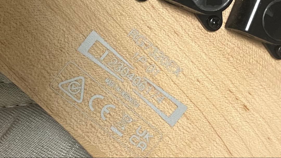 【値下済】Ibanez RG7320ex黒　7弦エレキギター