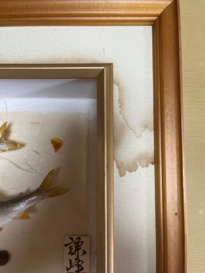 アユ　鮎の剥製　壁掛け