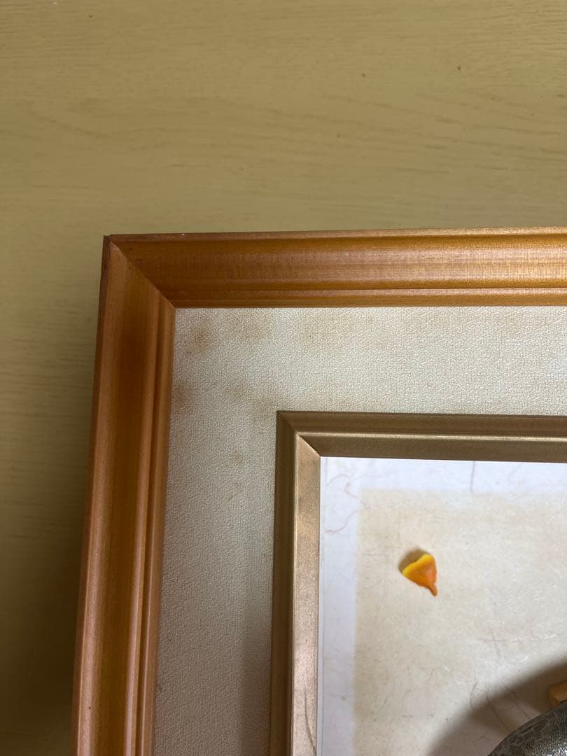 アユ　鮎の剥製　壁掛け