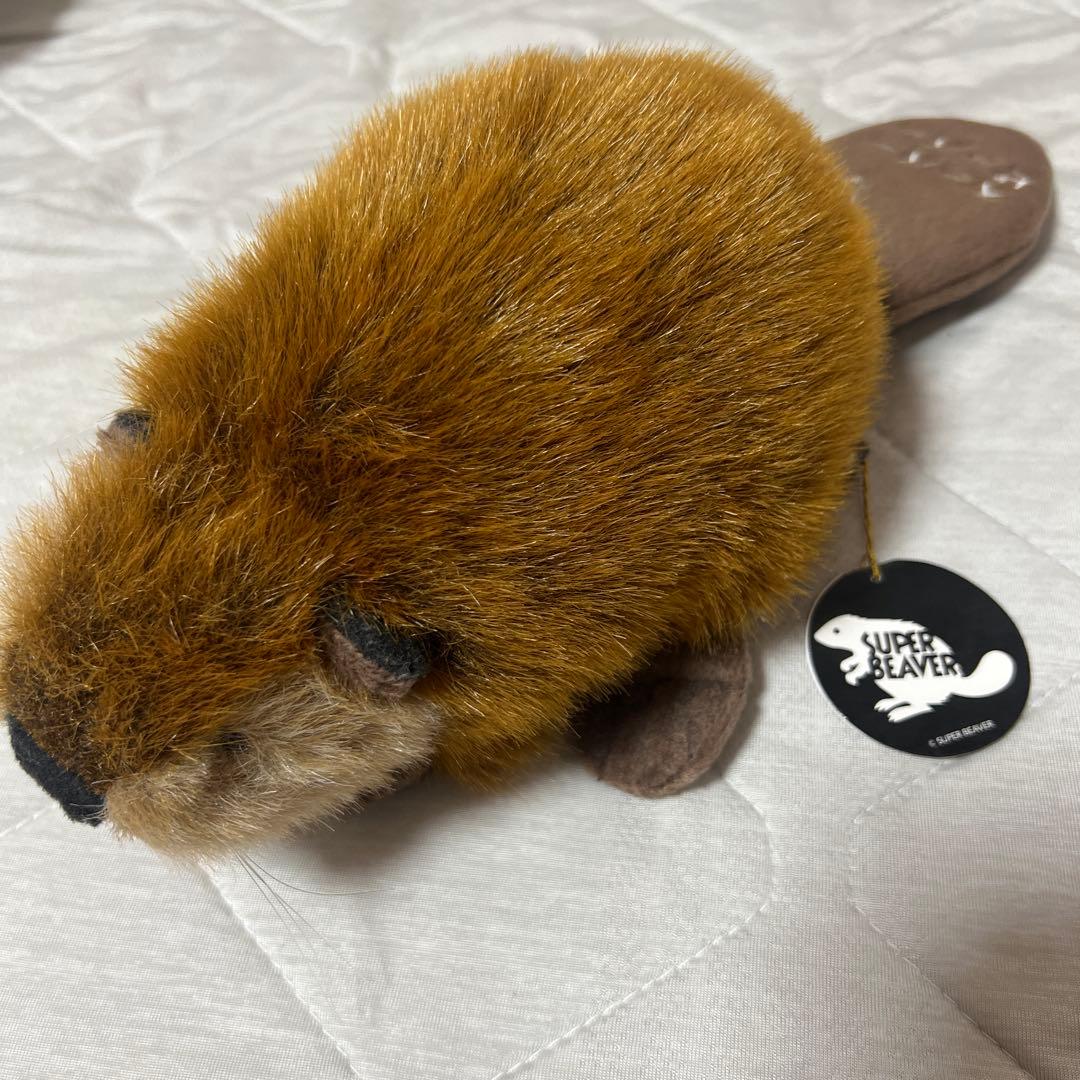 スーパービーバーちゃん SUPER BEAVER ぬいぐるみ