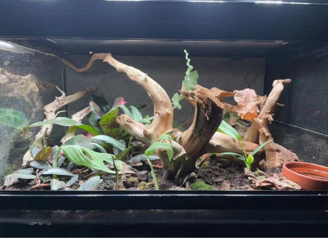 90x45x45cm爬虫類両生類飼育ケージ、組み立て式　ガラス飼育ケージ卸販売