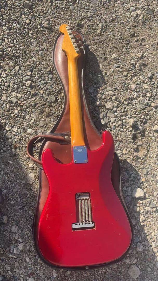 FERNANDES ギター