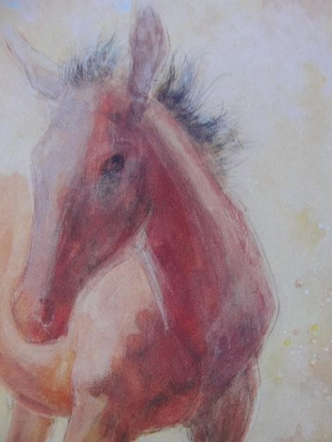 井上 耐子 【野の香里】 希少画集画、状態良好、新品高級額装付