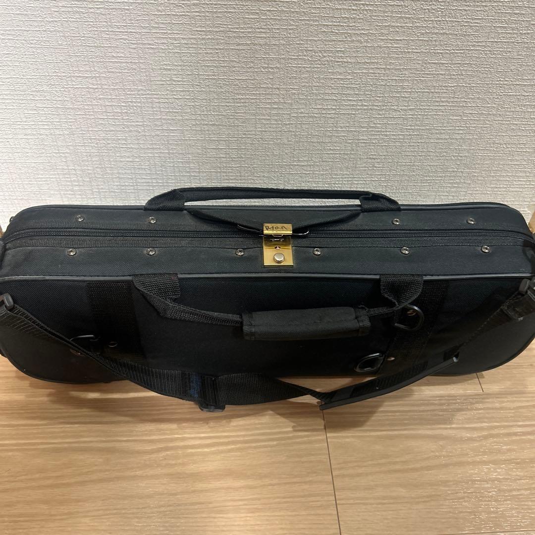 バイオリン　調律済み　弦、ケース付き