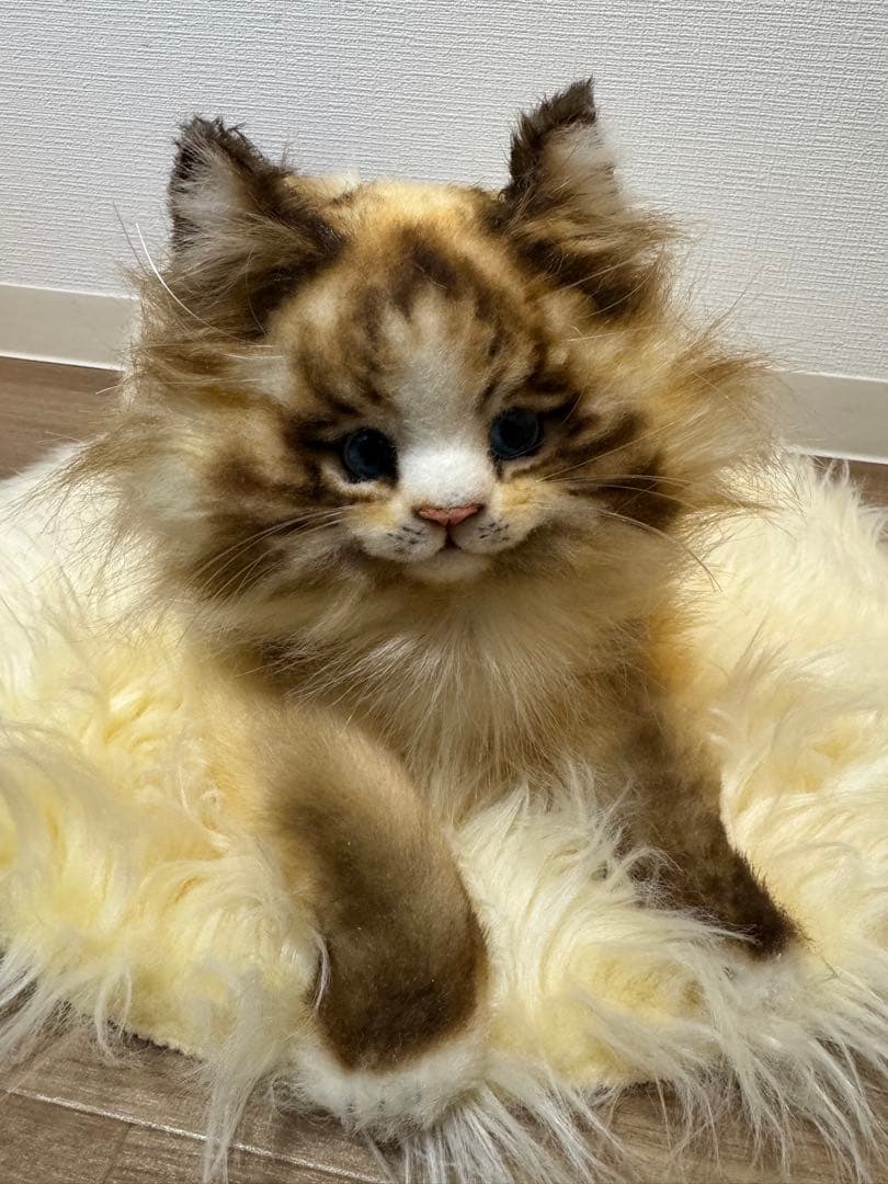 海外作家様作　アートドール　猫　ラグドール