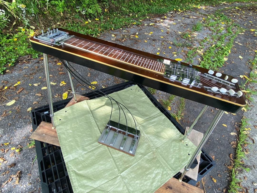 TEISCOテスコ製8弦ペダルスチールギター Model EG-DH 希少‼︎