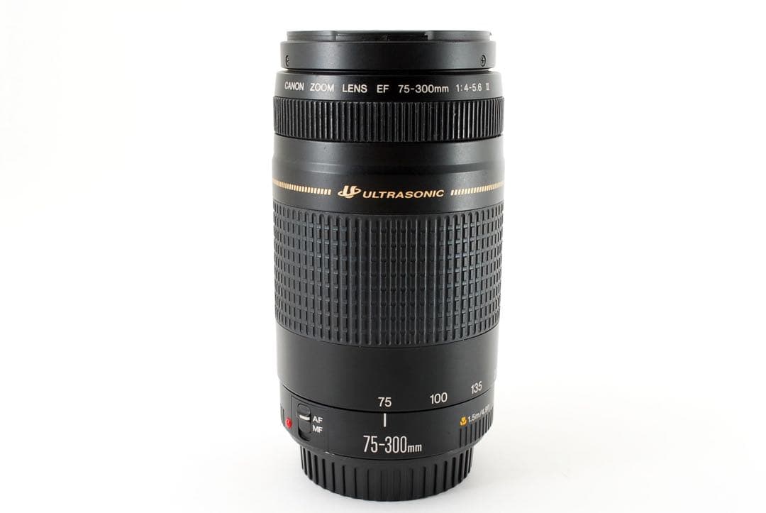 人気の望遠レンズ☆フード付き☆キヤノン Canon EF75-300㎜