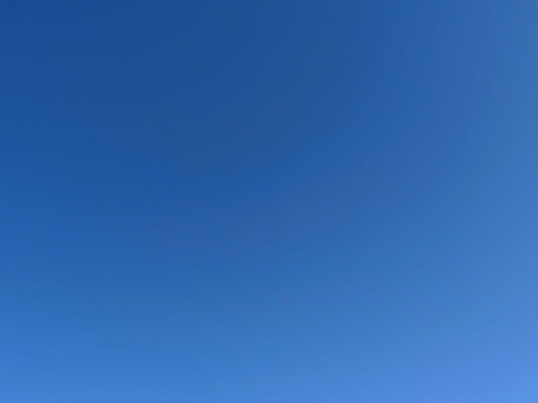 おにおん