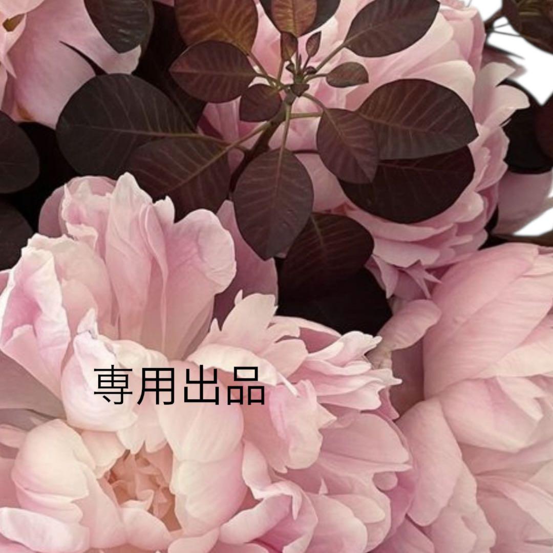 苺大福さま