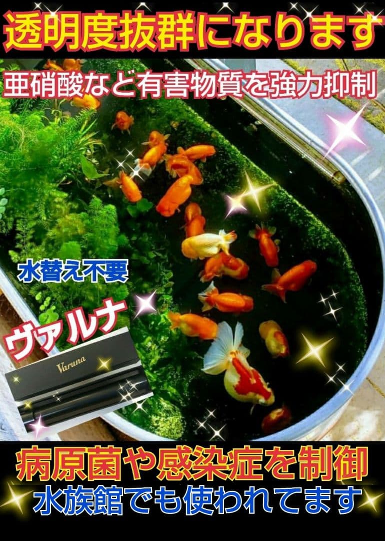 水質アップにはコレです！【ヴァルナ】有害物質を強力抑制し透明度が抜群になります！