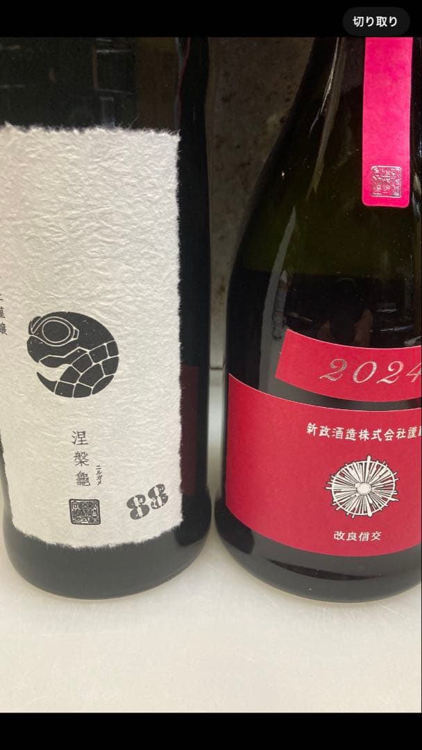 新政　涅槃龜　ニルガメ　コスモス