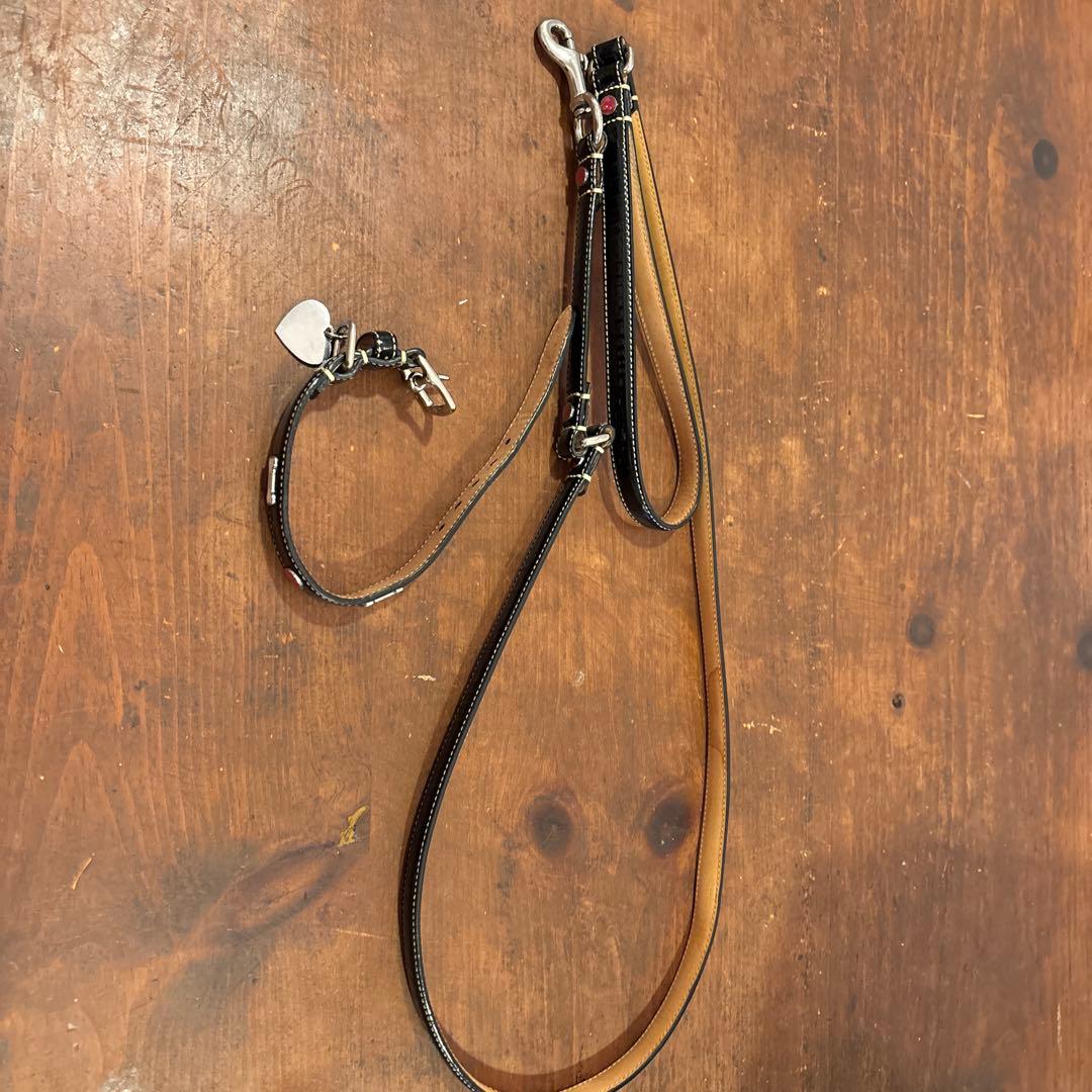 COACHレザー 犬用リードと首輪セット