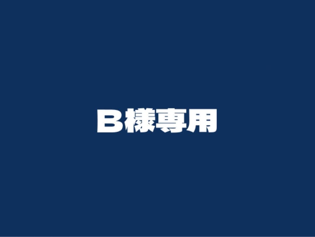 ドッグフード B