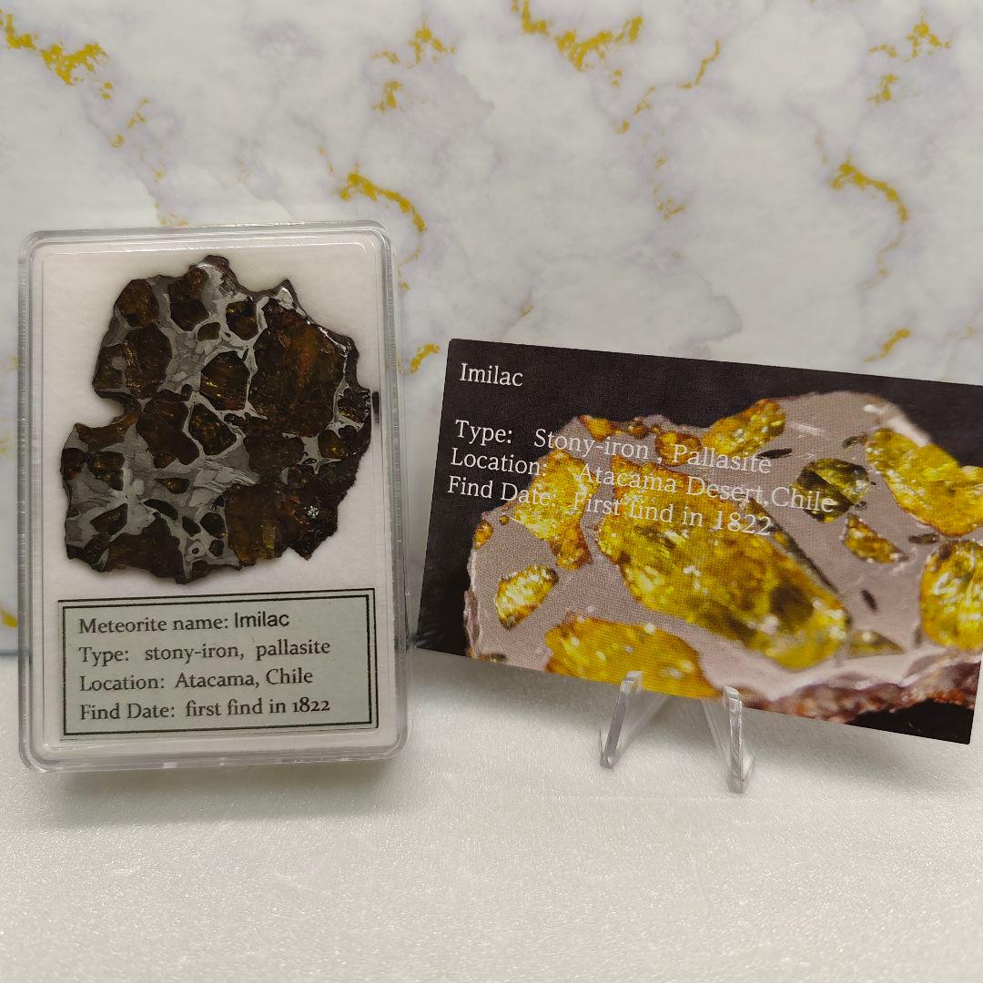 【パラサイト隕石】イミラック隕石20g ケース&ネームカード付き NO.409