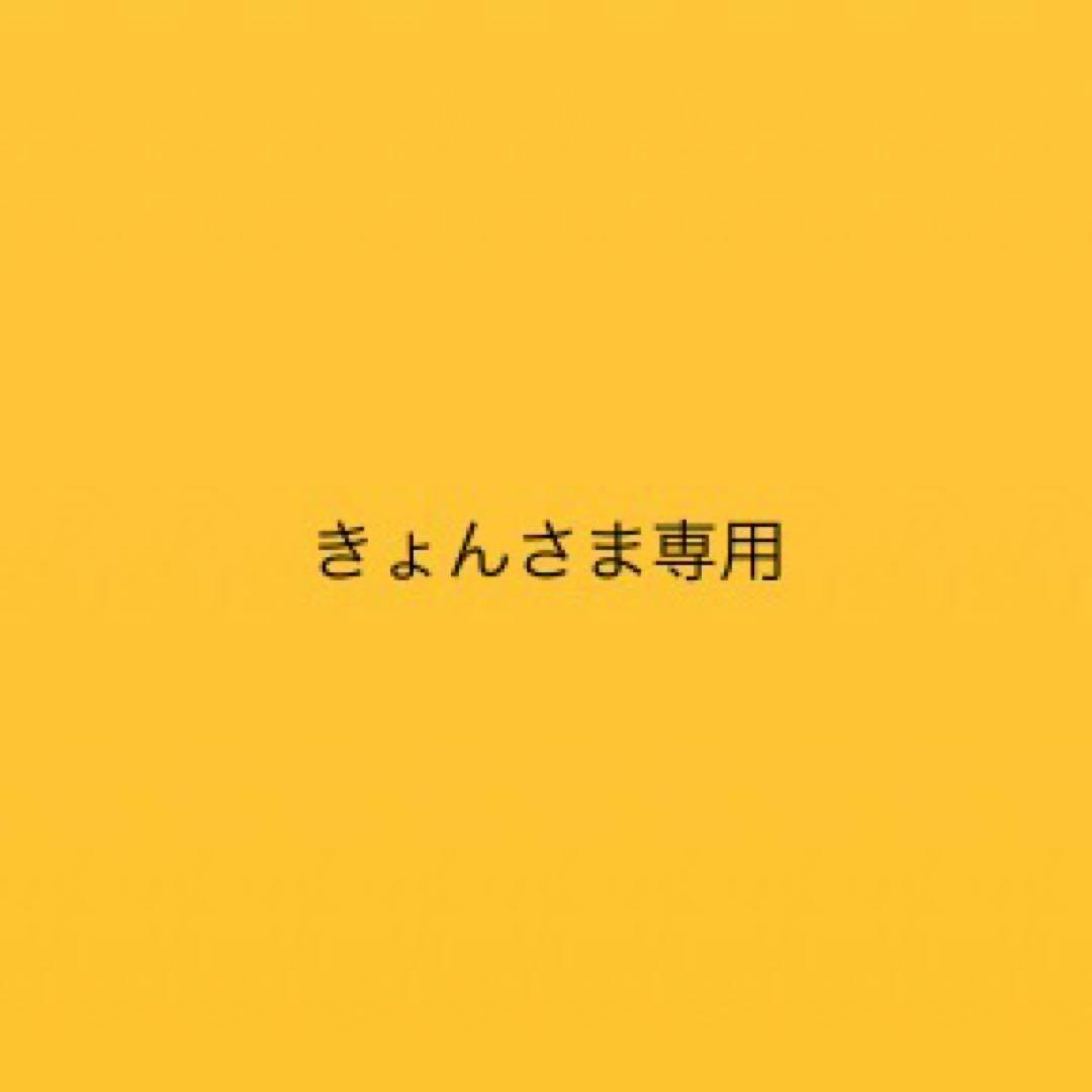 【きょんさま専用】ファミリアトレーナー