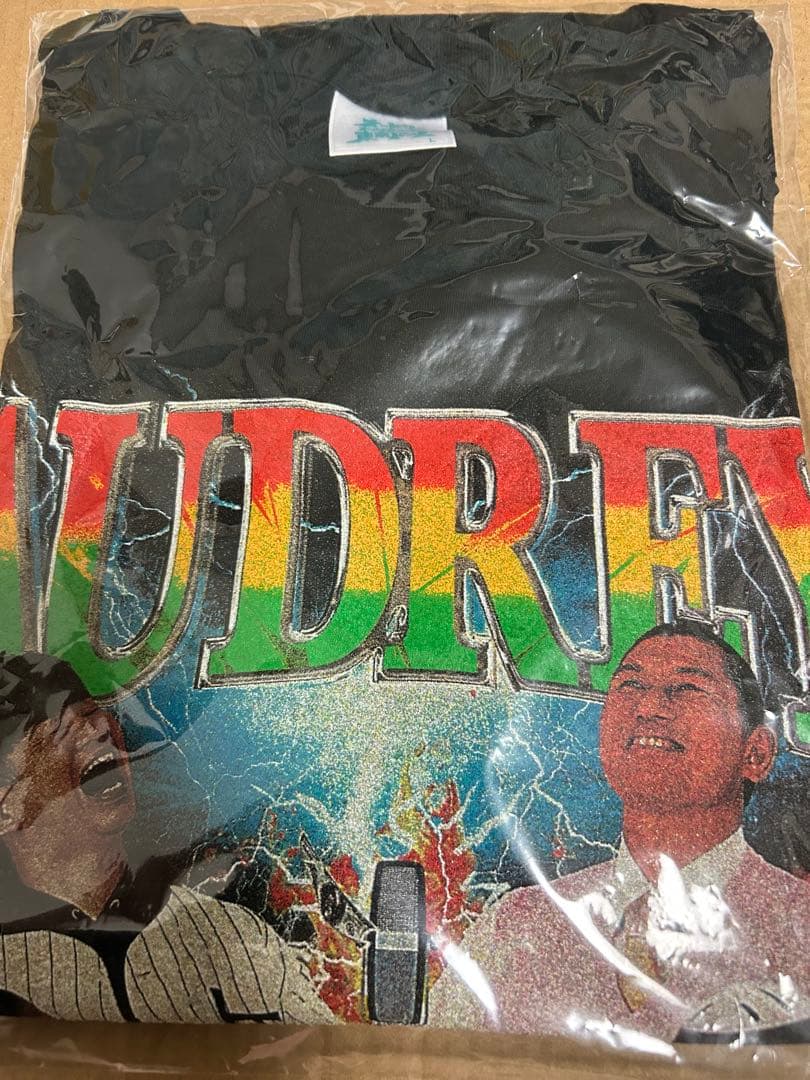 オードリー　オールナイトニッポン　東京ドーム ビッグシルエットTシャツ Ｌ