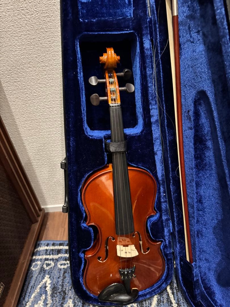 Carlo giordano バイオリン VS-0-44 4/4 フルサイズ
