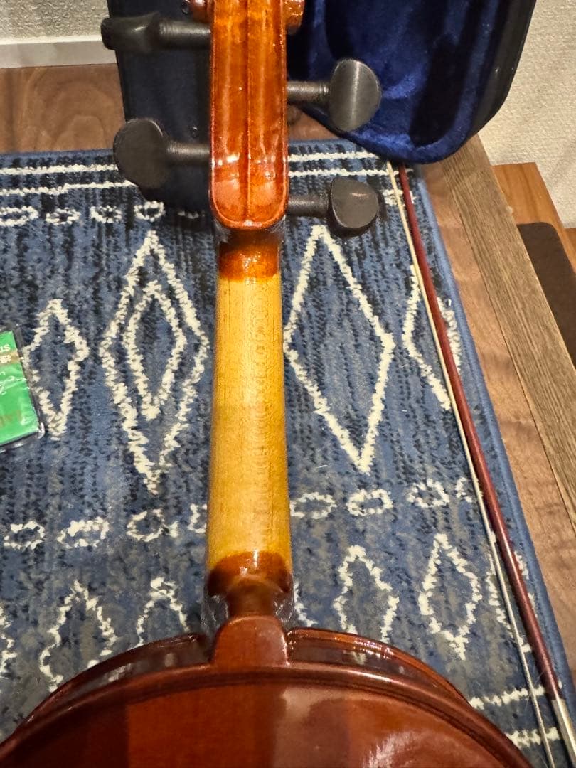 Carlo giordano バイオリン VS-0-44 4/4 フルサイズ