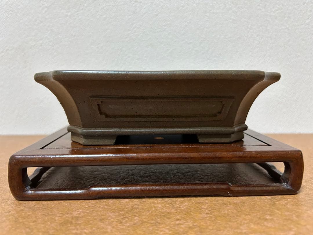 小松泉　秋静庵　小品盆栽　山野草