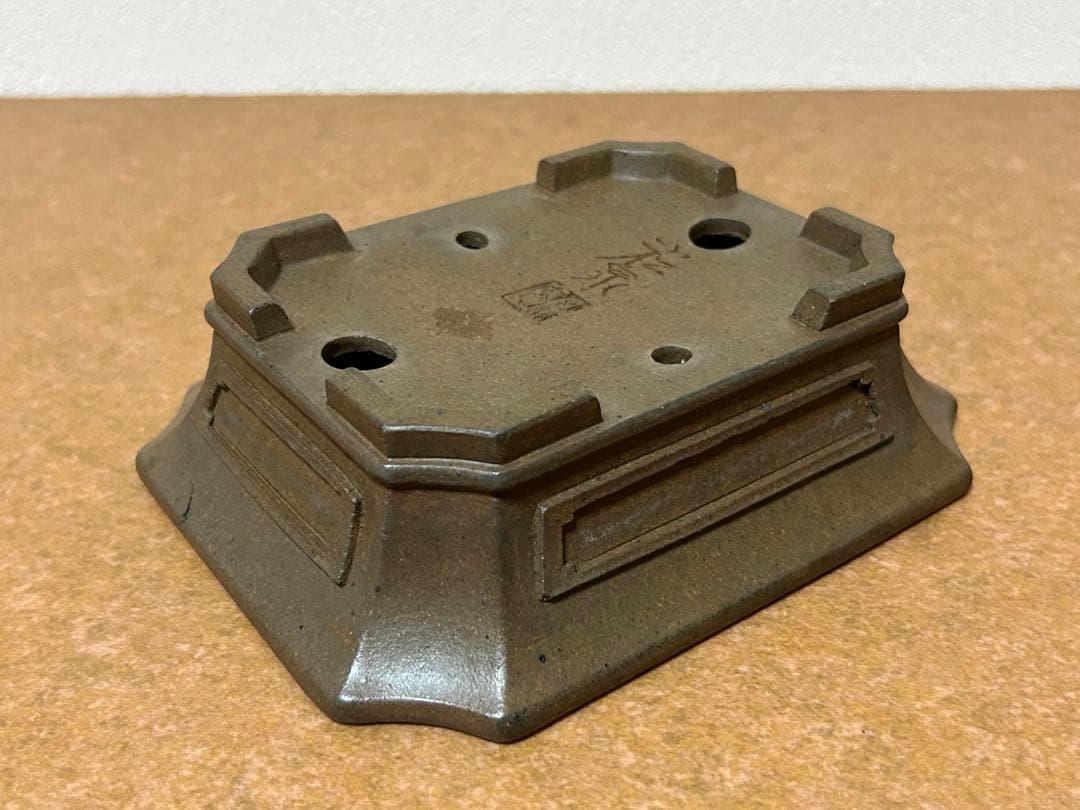 小松泉　秋静庵　小品盆栽　山野草