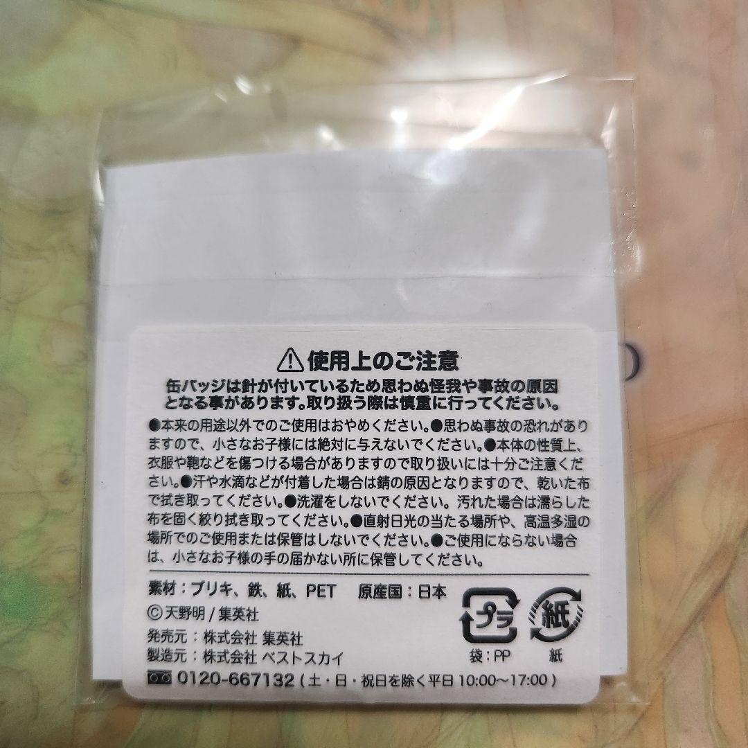 REBORN 雲雀恭弥 ディーノ 缶バッジ