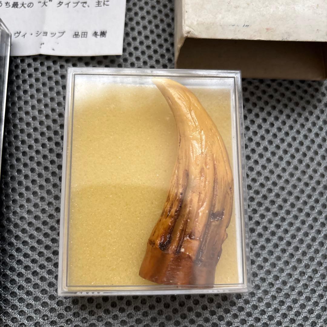 HMV GMKゴジラ　東京SOS DVD 予約特典　レプリカ